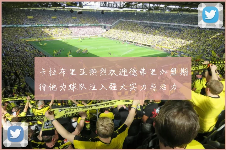 卡拉布里亚热烈欢迎德弗里加盟期待他为球队注入强大实力与活力